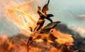 Forest fire Firefighters who fought Fort McMurray wildfire suffer persistent lung damage