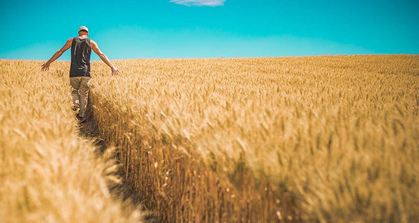 Liberal budget sells the farm along with quotas