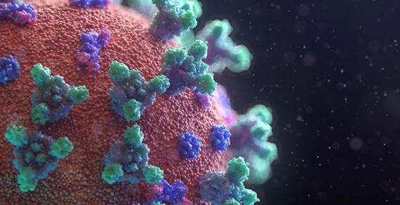 Anti-malarial drugs may be an effective treatment against coronavirus Anti-malarial drugs may be an effective treatment against coronavirus
