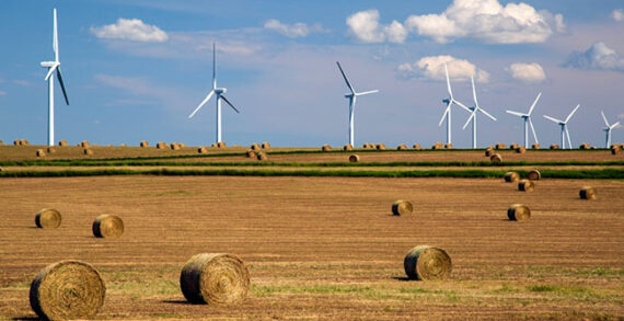 alberta green ecomomy energy wind agriculture Investing in green future easier said than done for Alberta