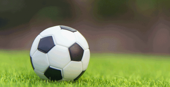 Liverpool FC finally grabs Premier League title Liverpool FC finally grabs Premier League title