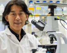 muscular dystrophy science Muscular dystrophy treatment shows promise in cells, animals