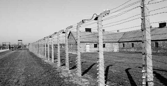 auschwitz holocaust Only respect for diversity will defeat extremism