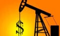Oil prices India confronts Saudi Arabia over crude oil prices