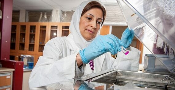 Afsaneh Lavasanifar Nanomedicine used to provide better outcomes during chemotherapy