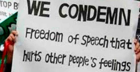 Free speech Liberals must stop their attack on social media free speech