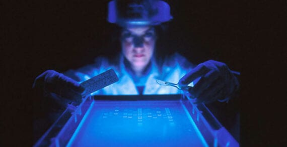 genetics dna data, privacy Simulated, anonymized data could be key to health-care innovations