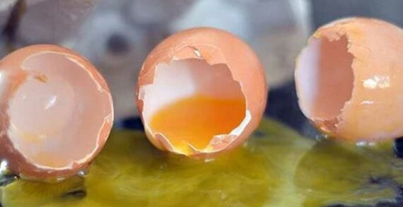 Broken eggs Politicians are long on promises but short on delivery
