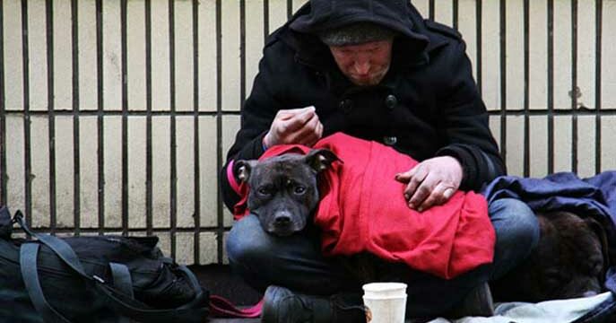 Homeless poverty Why a universal basic income falls short