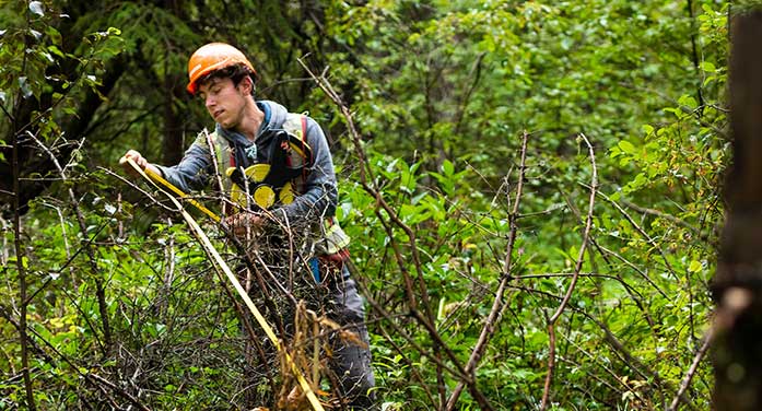Forestry grad harvests his passion for the outdoors into a career