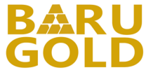 Baru Gold Announces Private Placement