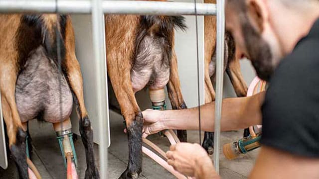 It’s time to end supply management