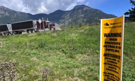 Governments should scrap carbon taxes and red tape instead of borrowing billions for pipelines