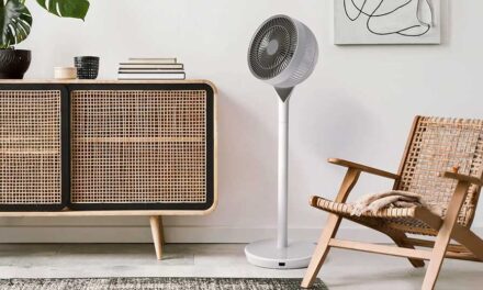 Woozoo Pedestal 360 fan punches above its price